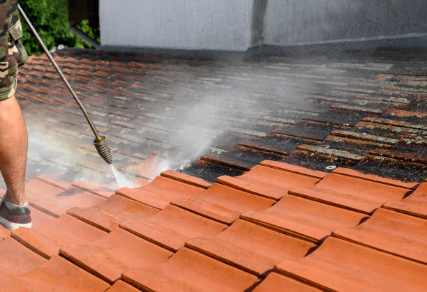 Best Pressure Washing Company Near Me  in Kendall Park, NJ